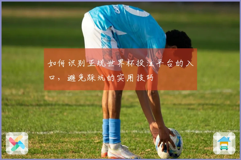 如何识别正规世界杯投注平台的入口，避免踩坑的实用技巧