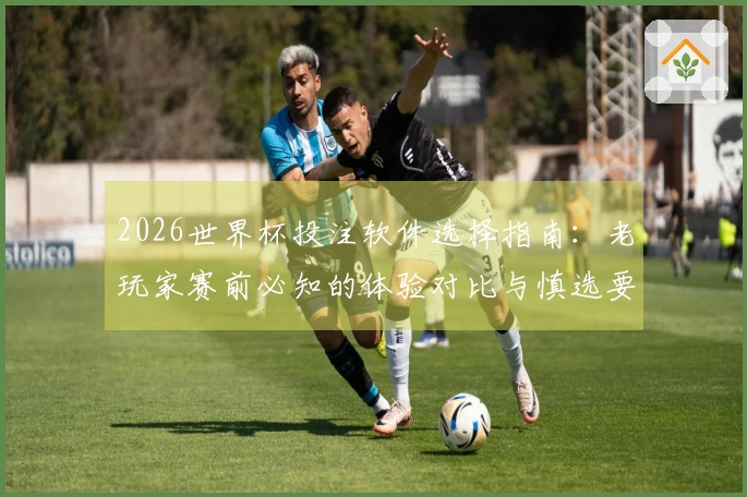 2026世界杯投注软件选择指南：老玩家赛前必知的体验对比与慎选要点