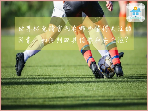 世界杯竞猜官网有哪些值得关注的因素，如何判断其信誉和安全性？