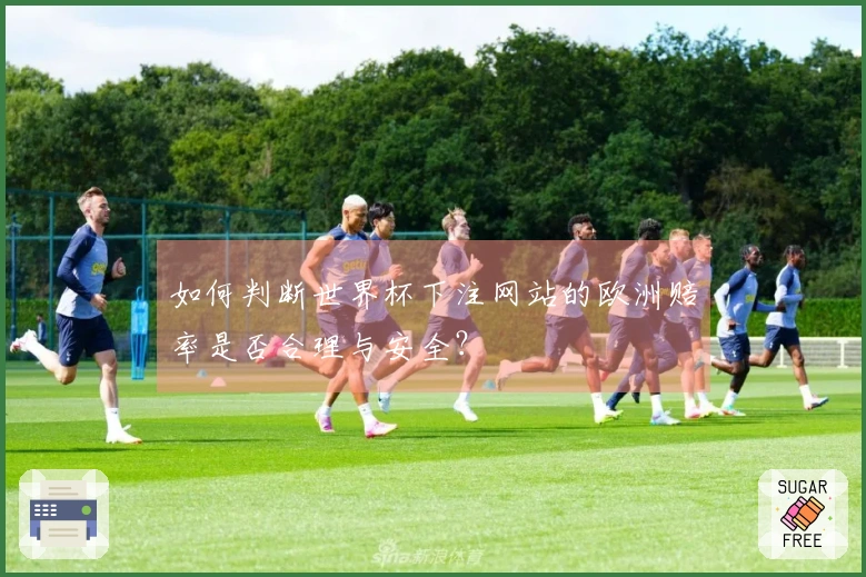 如何判断世界杯下注网站的欧洲赔率是否合理与安全？
