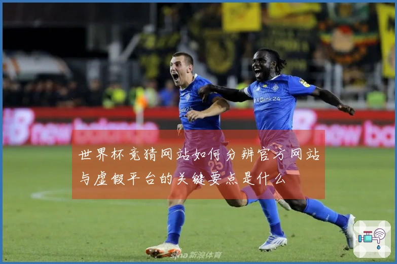 世界杯竞猜网站如何分辨官方网站与虚假平台的关键要点是什么