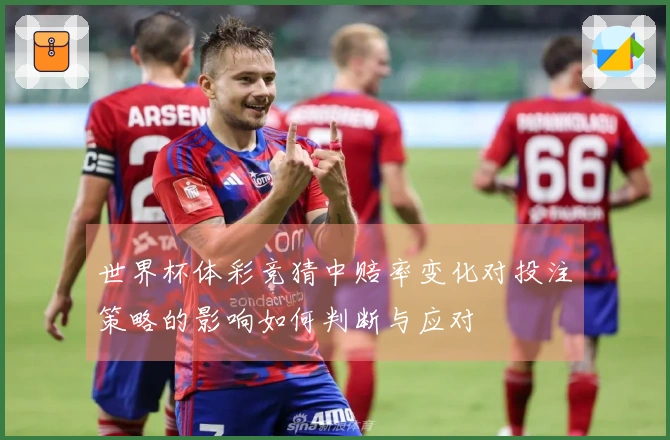 世界杯体彩竞猜中赔率变化对投注策略的影响如何判断与应对