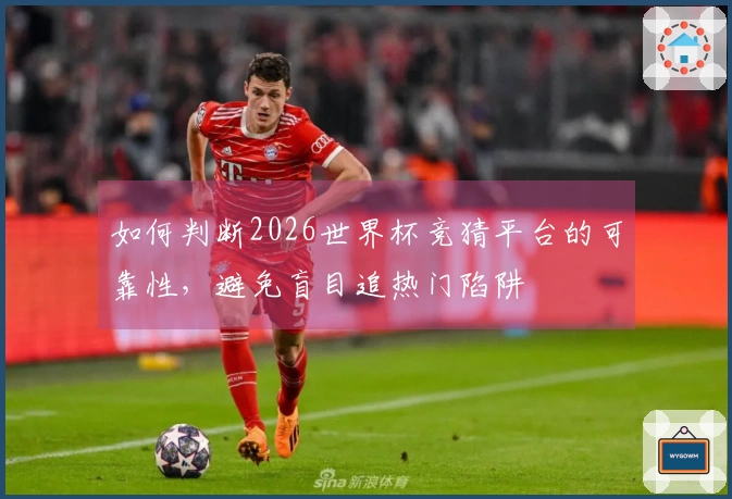如何判断2026世界杯竞猜平台的可靠性，避免盲目追热门陷阱
