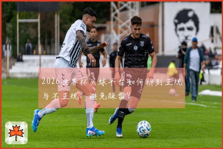 2026世界杯买球平台如何辨别正规与不正规，避免踩雷？