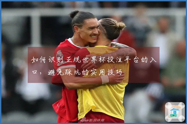 如何识别正规世界杯投注平台的入口，避免踩坑的实用技巧