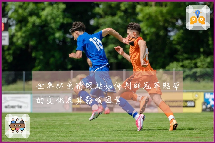 世界杯竞猜网站如何判断冠军赔率的变化及其影响因素