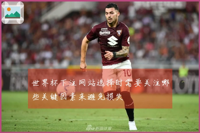 世界杯下注网站选择时需要关注哪些关键因素来避免损失