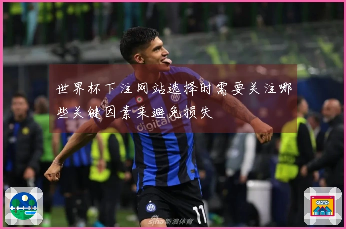 世界杯下注网站选择时需要关注哪些关键因素来避免损失